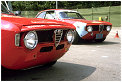 Alfa GTA & Alfa GT noses