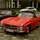 Mercedes 300 SL Roadster & BMW 507