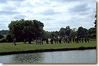 Military marching band, the 150 Yorkshire Transport Regiment RLC (V)