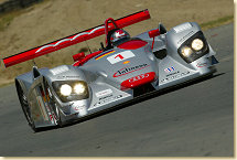 Rinaldo Capello in the Audi R8 #1