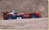 #1 The Brabham/Magnussen Panoz LMP-1