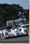 David Brabham hustles his Panoz through Collier Curve
