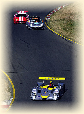 Audi R8 #77, Rinaldo Capello