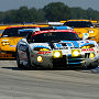 Labre Viper and the Corvettes